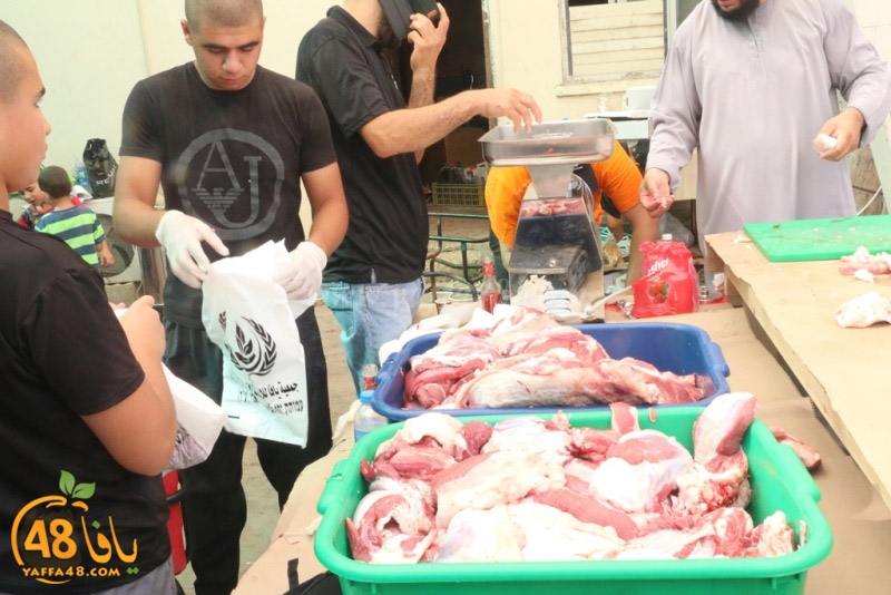 jam3i3yaysu3i (9).JPG